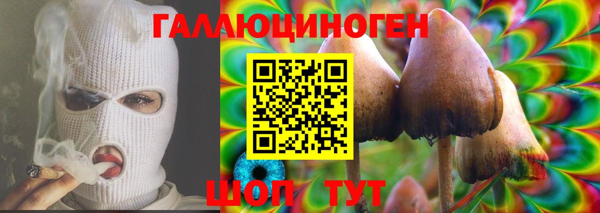 Псилоцибиновые грибы мицелий  Вход с VPN  Курчалой 